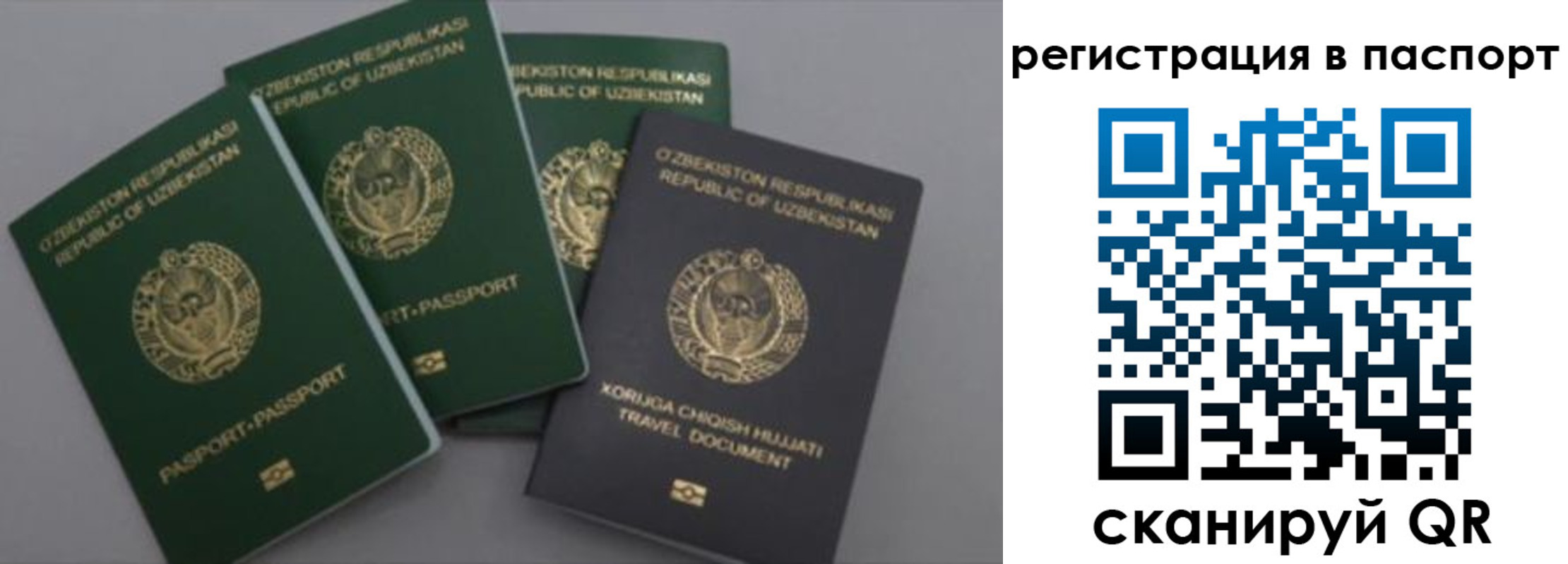 прописка от собственника в Малой Вишере